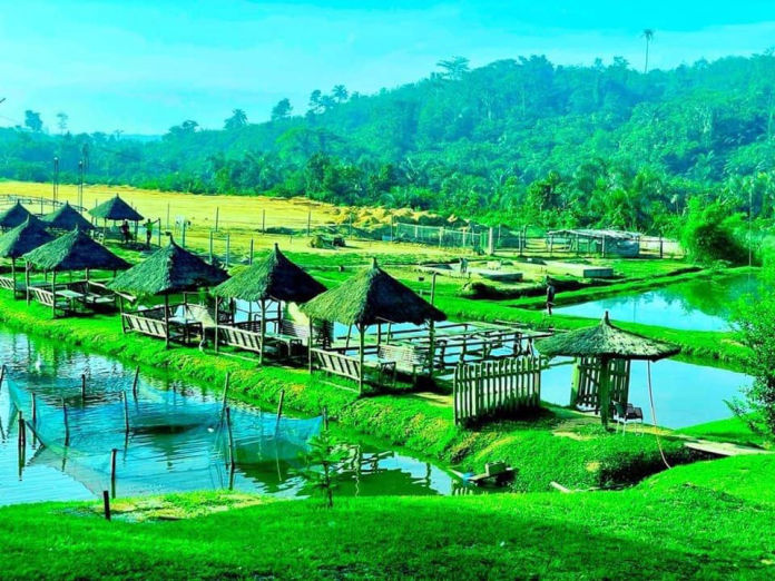 Mobirise Website Builder